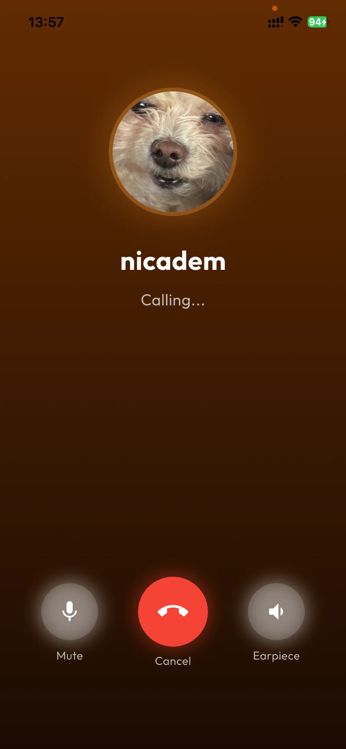 Voice call